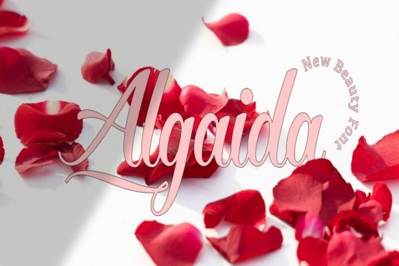 Algaida: A Modern Script Font for Elegant Web Design