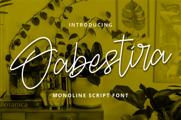 Bring Charm to Your Creations with Oabestira Font