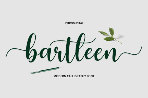 Discover Bartleen: A Handwritten Font for Web Design