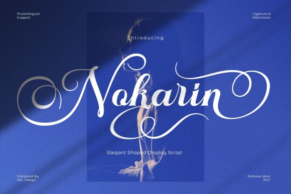 Nokarin: A Script Font with Modern Elegance