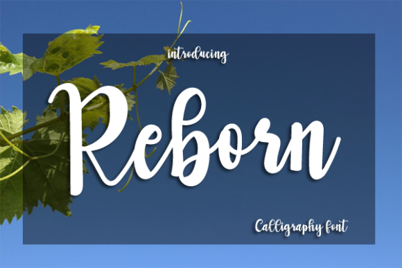 Reborn: A Charming Script Font for Creative Branding