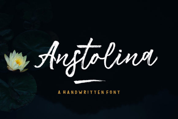 Transform Your Brand with Anstolina: A Stylish Script Font
