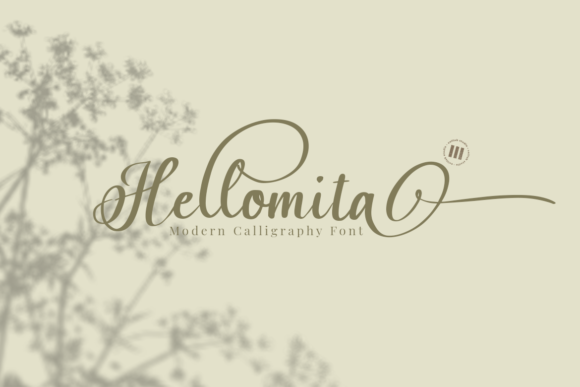 Transform Your Brand with Hellomita: A Graceful Script Font
